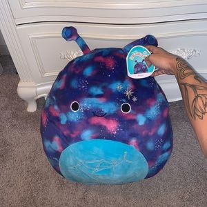 “Piaxa” 16” Squishmallow
